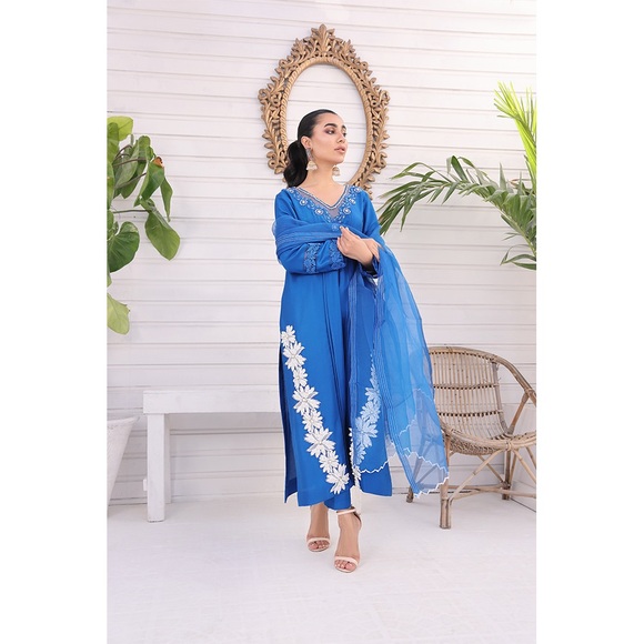 Pakistani Indian shalwar kameez - Picture 5 of 7